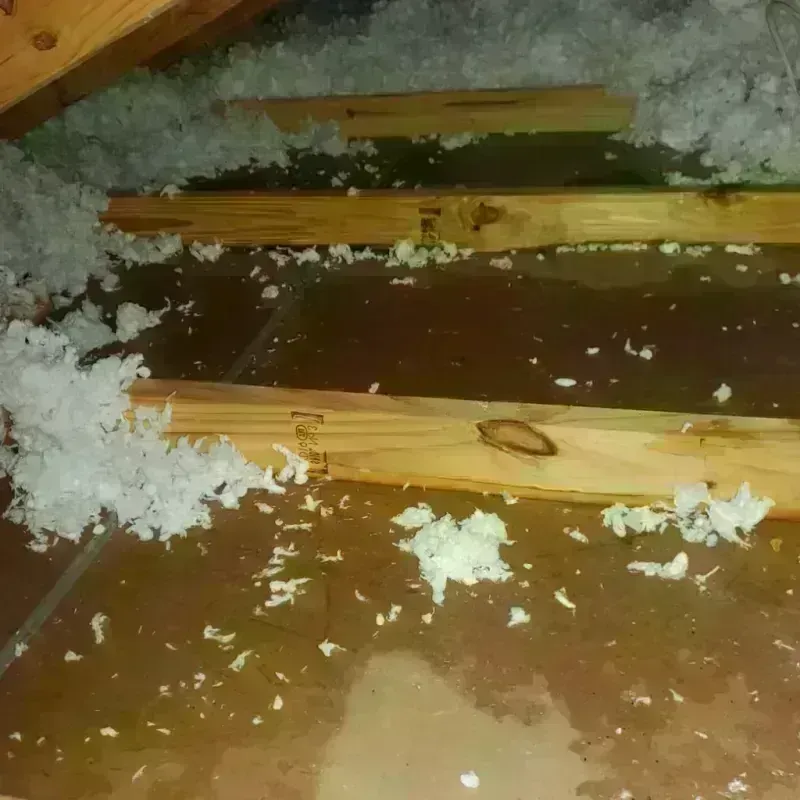 Attic Water Damage in San Joaquin Hills, CA